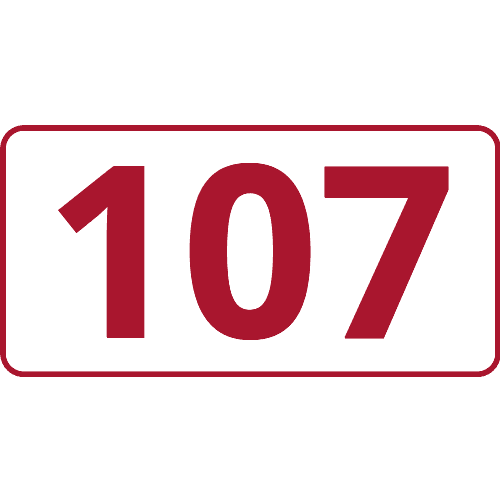Illustration de la ligne 107