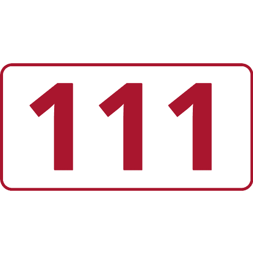 Illustration de la ligne 111